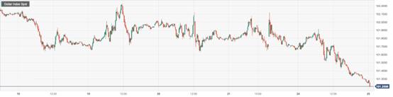 US Dollar Index (DXY)