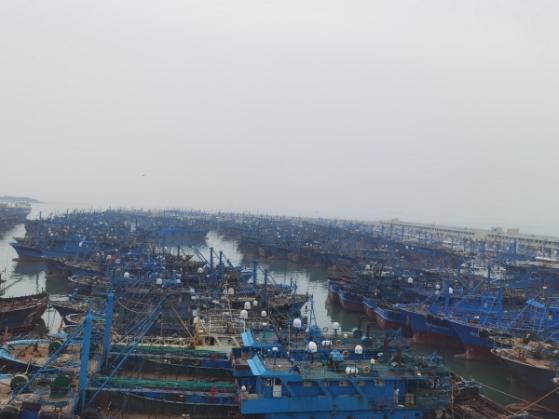 一个渔村的融资蝶变：中国平安把普惠金融送到村口，助力泉州渔业再启航