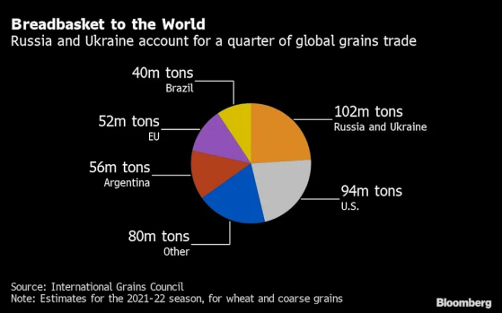 俄乌冲突是如何“撕裂”全球粮食系统的？一文读懂