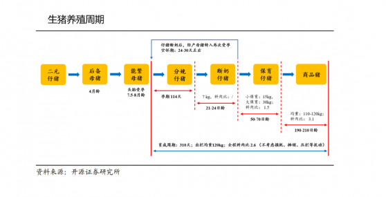 农业专题策划三|猪周期“V”型反转前 猪企继续承受资金的考验