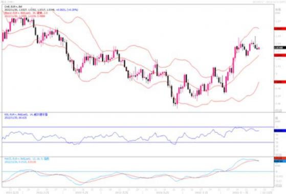 11月30日汇市观潮：欧元、英镑和日元技术分析