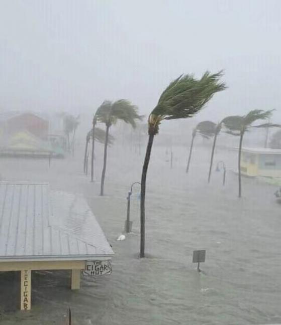 飓风“伊恩”登陆佛罗里达 六大经济风险齐上 损失或高达700亿美元