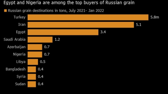 俄乌战争砸了埃及“饭碗”：小麦价格飙升或引发粮食危机