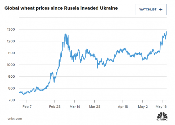 俄乌冲突下保护主义抬头 全球粮食体系被如何蚕食？一文看懂
