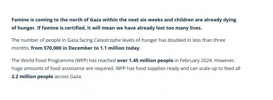Allarme tempestivo delle Nazioni Unite: la carenza di cibo nella Striscia di Gaza supera di gran lunga i livelli di carestia e stanno per verificarsi morti di massa.