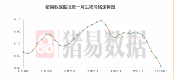 行业动态|连跌五日猪价再度“跳水” 原因几何？