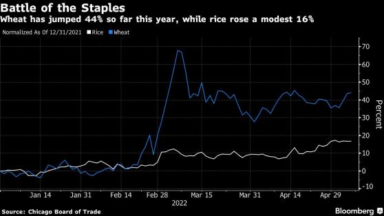 俄乌冲突下全球小麦价格今年已飙升40% 非洲转向更便宜替代品