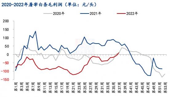 还撑得住吗？长期亏损、产能过剩 屠宰行业“厮杀加剧”|生猪屠宰整合前夜（一）