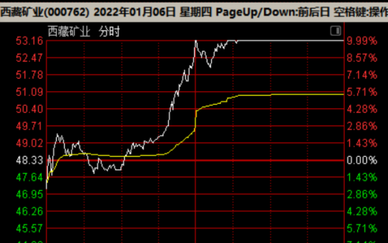 110位机构人现身西藏矿业调研会，一边是调研进行，一边是股价冲涨停，8个小时究竟调研了什么